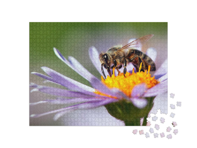Puzzle 1000 Teile „Eine Honigbiene auf einer Blüte“