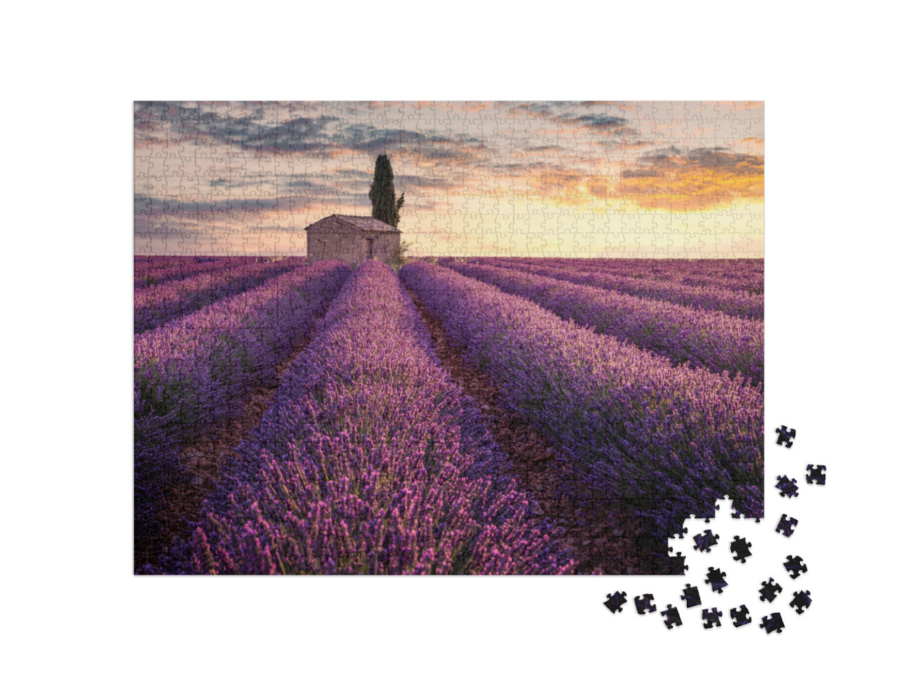 Puzzle 1000 Teile „Ein kleines Haus inmitten von Lavendelfeldern“