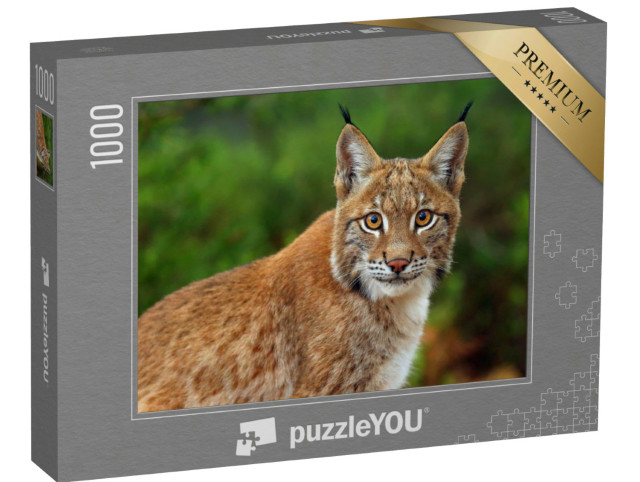 Puzzle 1000 Teile „Der Eurasische Luchs, Portraitaufnahme“