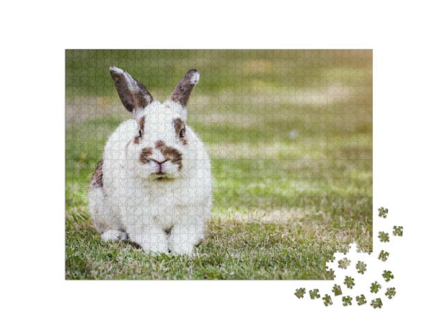 Puzzle 1000 Teile „Süßes geflecktes Kaninchen auf grünem Gras“