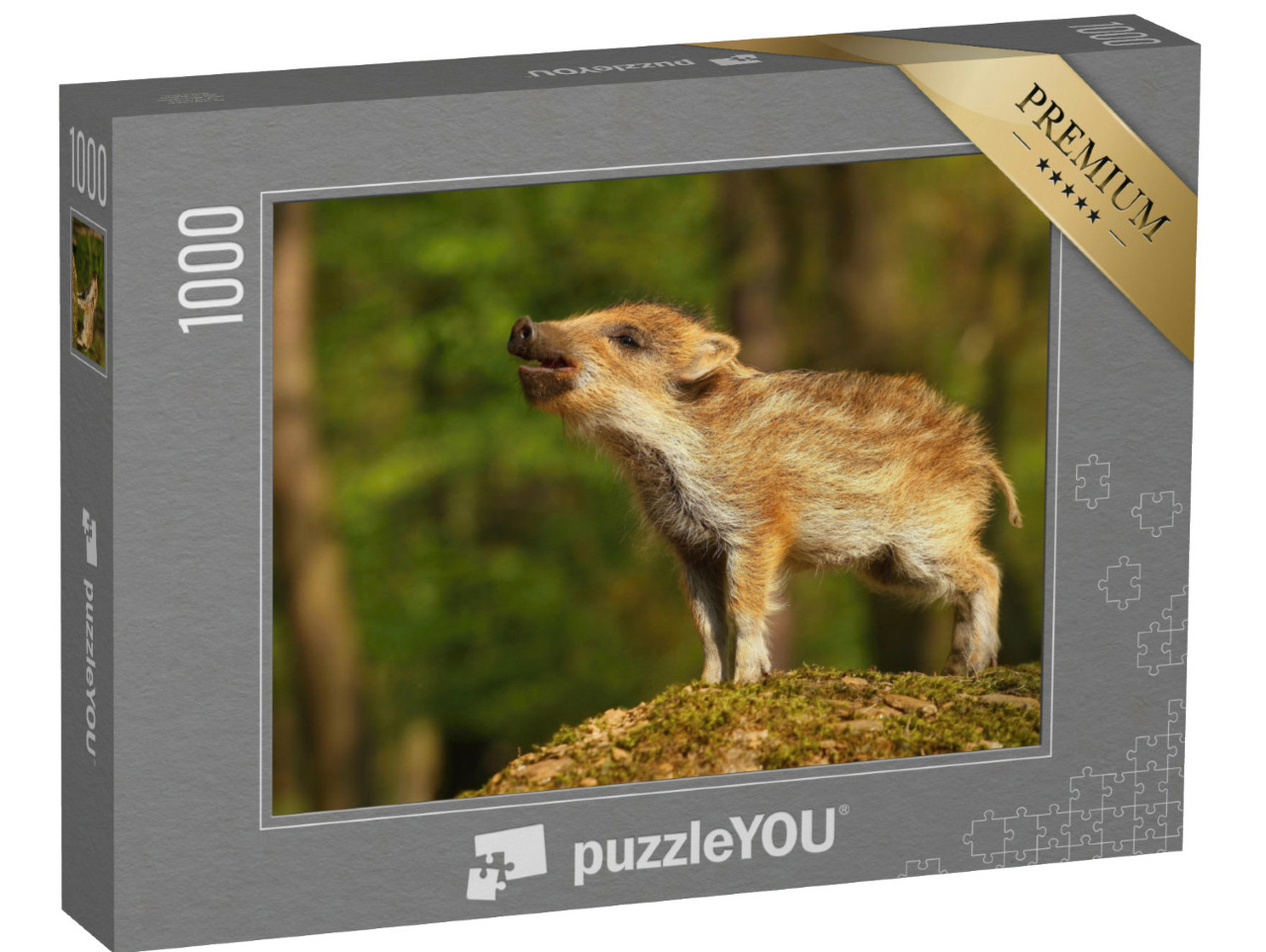 Puzzle 1000 Teile „Gestreiftes Wildschweinbaby im Wald “