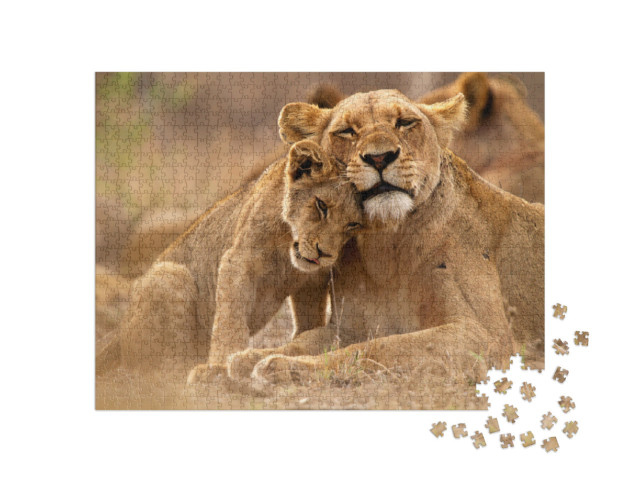 Puzzle 1000 Teile „Löwin und Jungtier im Kruger National Park, Südafrika“