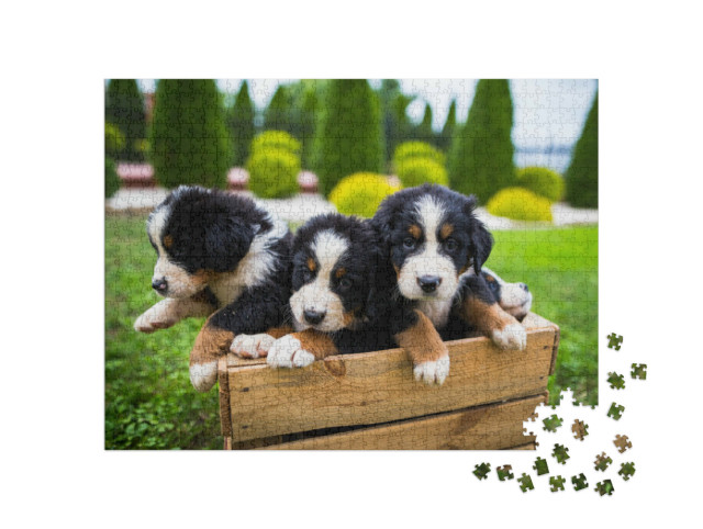 Puzzle 1000 Teile „Junge Berner Sennenhund “
