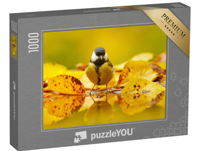 Puzzle 1000 Teile „Kleine Kohlmeise im Herbstlaub“
