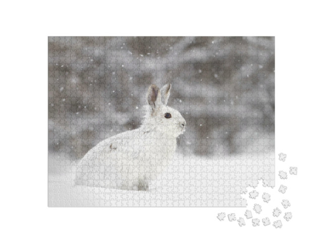 Puzzle 1000 Teile „Weißer Schneehase im Schneegestöber, Kanada“