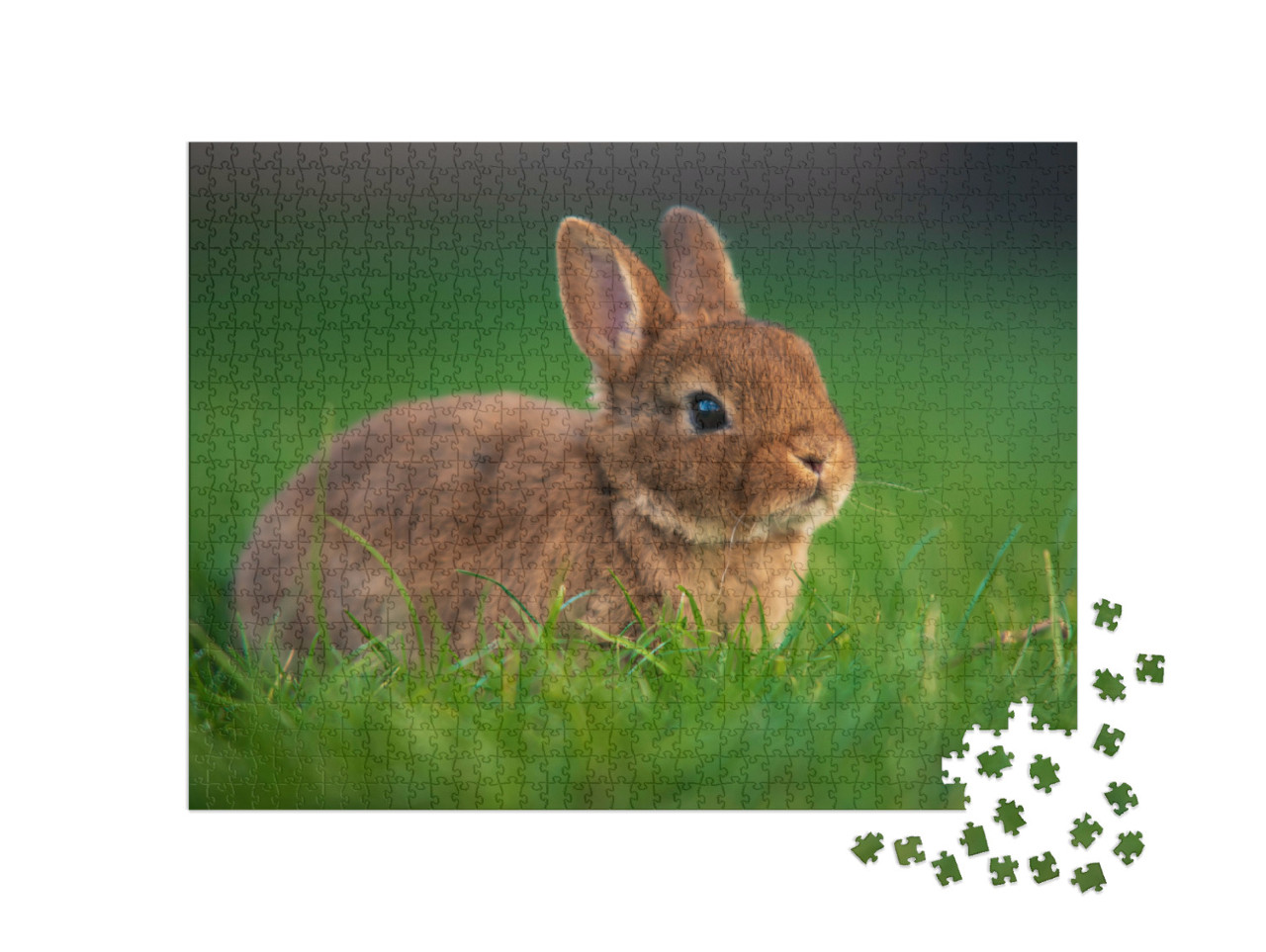 Puzzle 1000 Teile „Baby-Kaninchen auf grünem Gras“