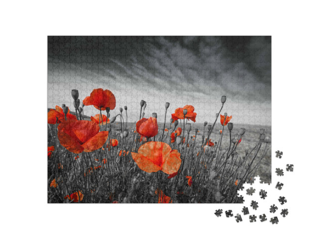 Puzzle 1000 Teile „Mohnblumen auf einer Wiese“