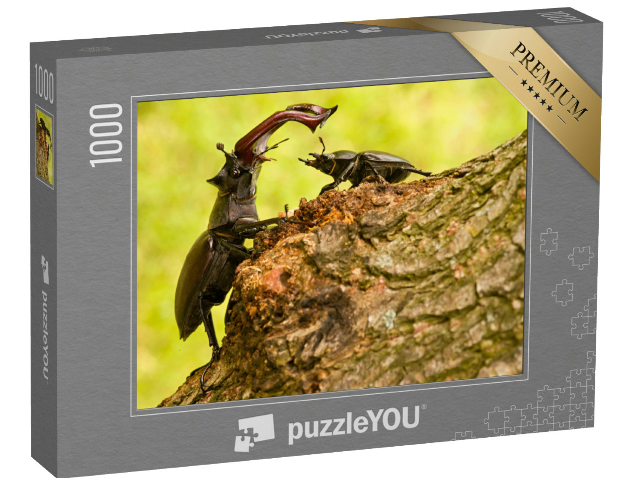 Puzzle 1000 Teile „Majestätischer männlicher Hirschkäfer mit kleinerem weiblichen Exemplar“