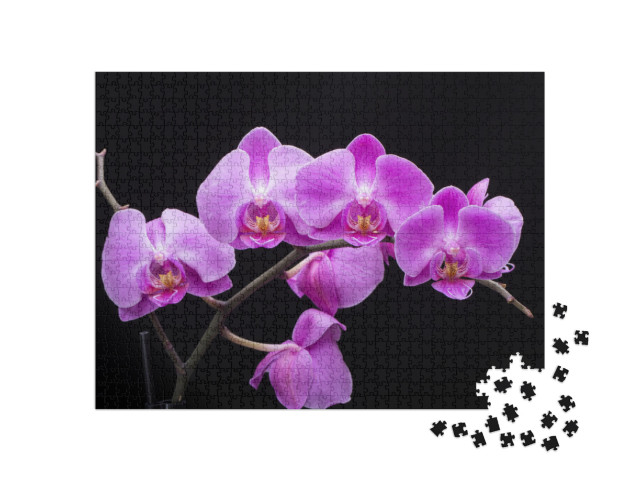 Puzzle 1000 Teile „Orchideenblüte“