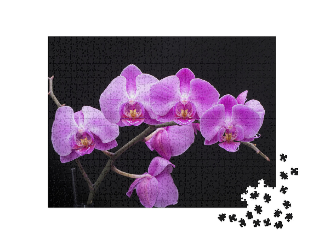 Puzzle 1000 Teile „Orchideenblüte“