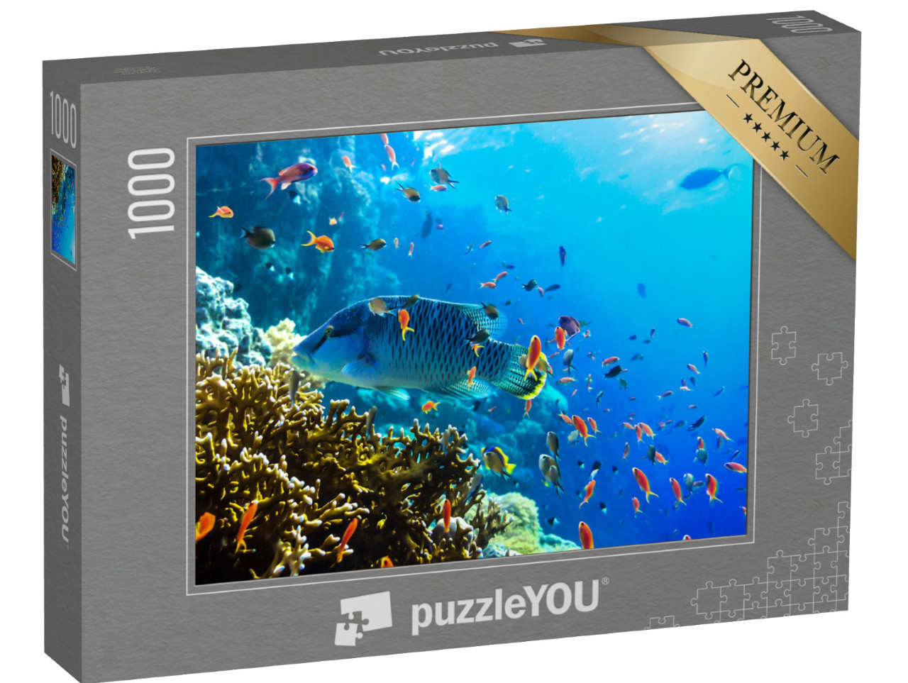 Puzzle 1000 Teile „Verschiedene bunte Unterwasserfische “