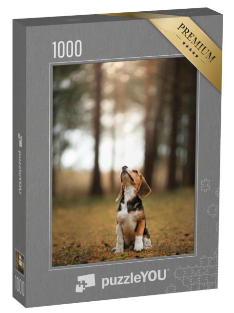 Puzzle 1000 Teile „Hund läuft durch die Natur, Beagle “