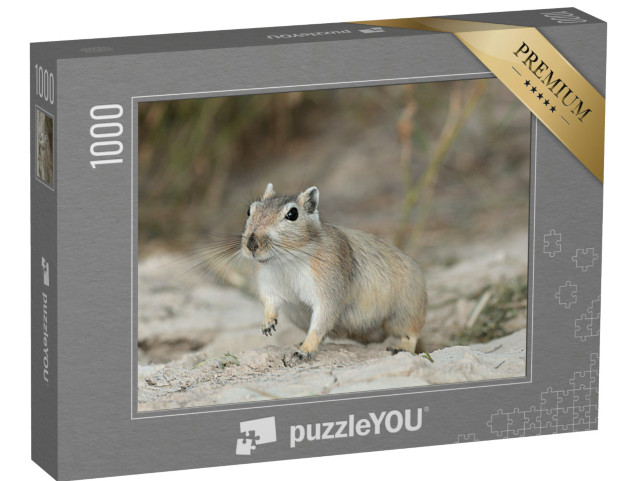 Puzzle 1000 Teile „Große Rennmaus in der Muyunkum-Wüste, Südkasachstan“
