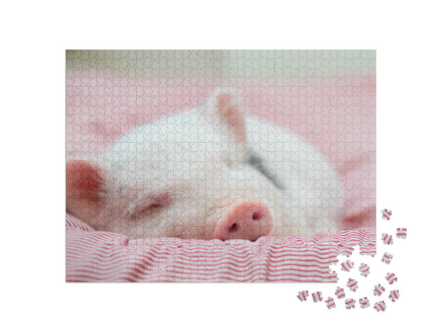 Puzzle 1000 Teile „Kleines Ferkel beim gemütlichen Nickerchen“
