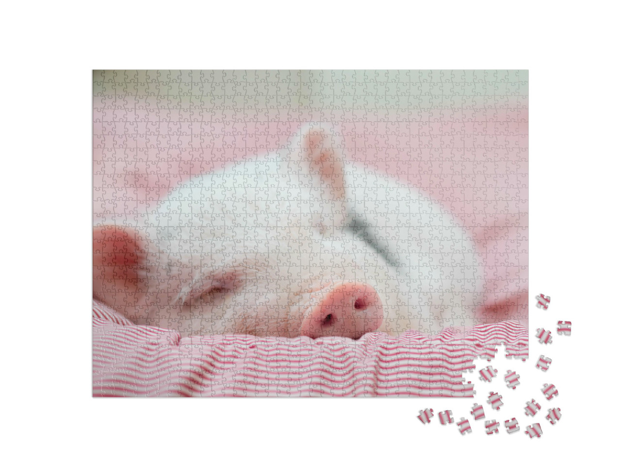 Puzzle 1000 Teile „Kleines Ferkel beim gemütlichen Nickerchen“