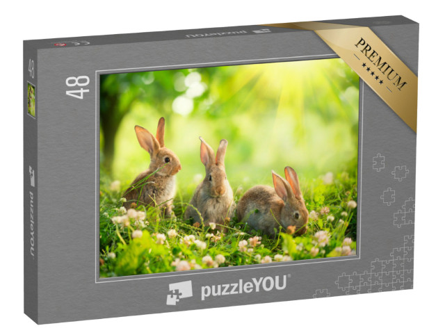 Puzzle 48 Teile „Niedliche Kaninchen auf einer Frühlingswiese“