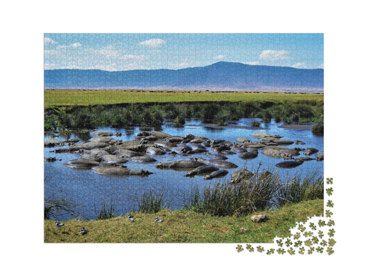 Puzzle 2000 Teile „Nilpferdbecken, Ngorongoro-Krater, Tansania“