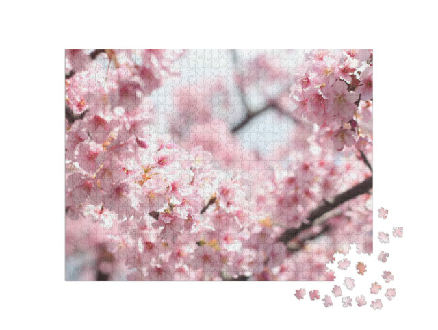 Puzzle 1000 Teile „Wunderschöne rosa Kirschblüten, Tokio, Japan“