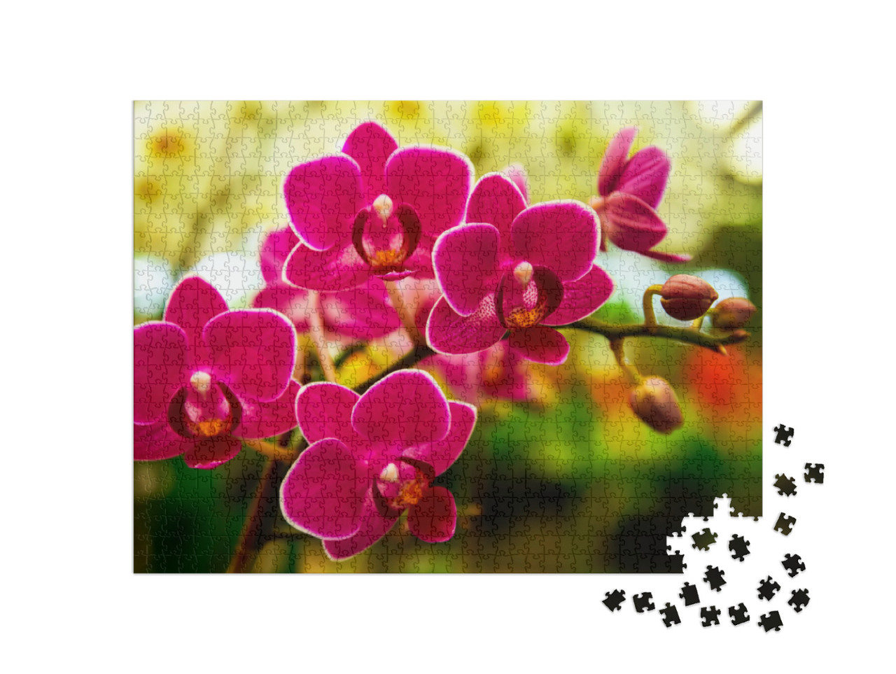 Puzzle 1000 Teile „Rosa Orchideen“