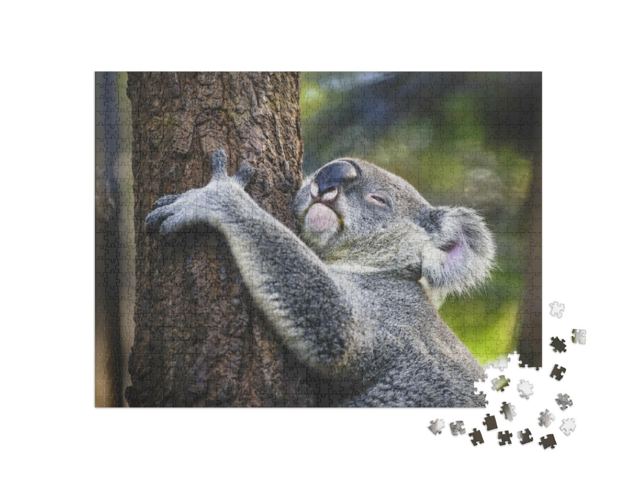 Puzzle 1000 Teile „Müder Koala am Baum“