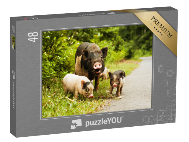 Puzzle 48 Teile „Muttersau mit gefleckten Ferkeln“