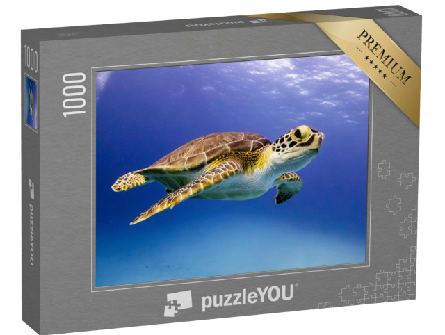 Puzzle 1000 Teile „Junge Hawksbill-Schildkröte beim Schwimmen, Bahamas“