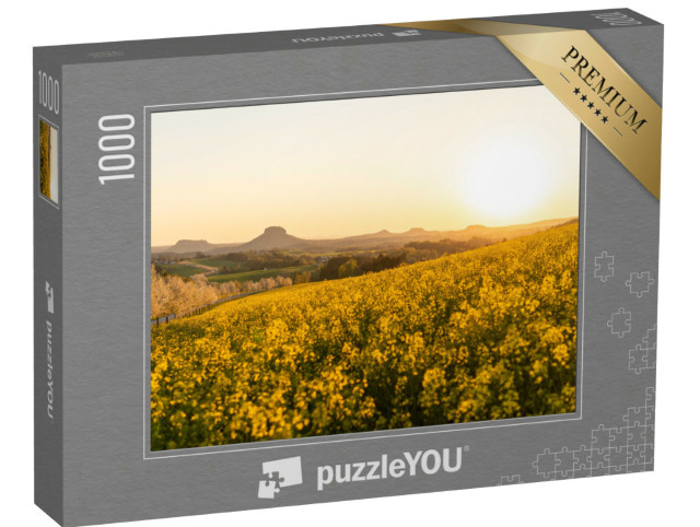 Puzzle 1000 Teile „Schönes Rapsfeld vor der Sächsischen Schweiz, Blick auf Sandsteinberge“