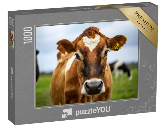 Puzzle 1000 Teile „Auge in Auge mit einer braun gefleckten Kuh“