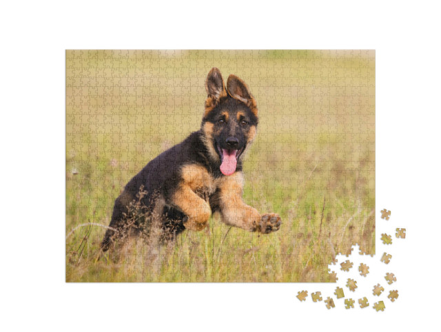 Puzzle 1000 Teile „Deutscher-Schäferhund-Welpe läuft durch das Gras “