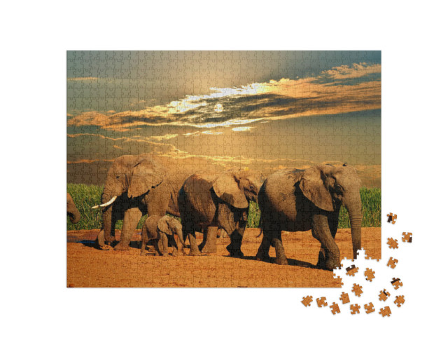 Puzzle 1000 Teile „Afrikanische Elefantenherde, Addo Elephant National Park, Südafrika“