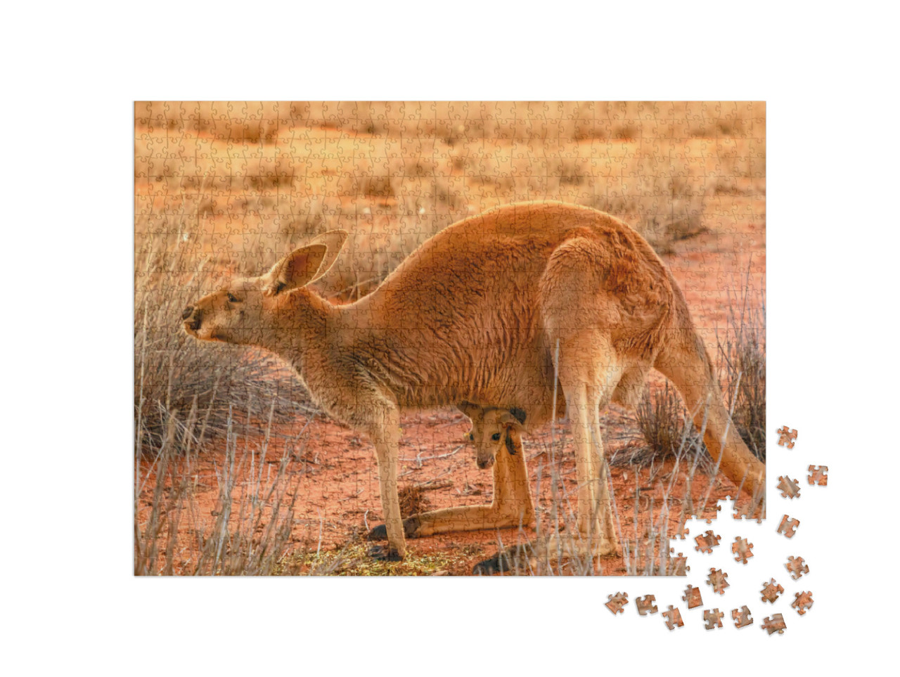 Puzzle 1000 Teile „Känguru-Muttertier mit Jungtier im roten Sand des Outbacks von Zentralaustralien“