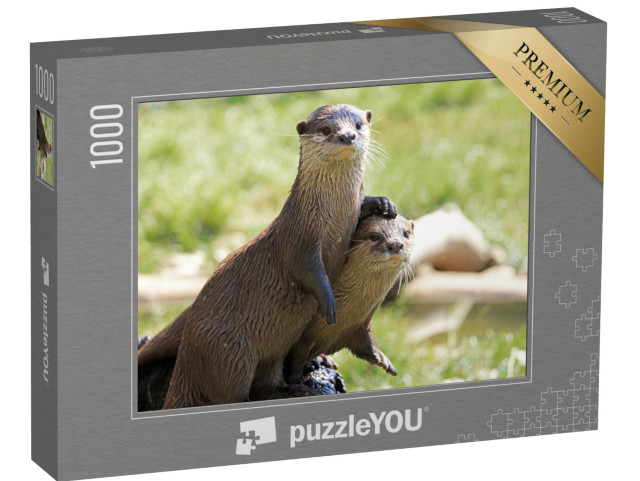 Puzzle 1000 Teile „Zwei aufmerksame Flussotter“