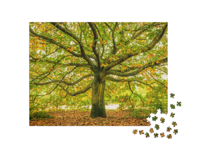 Puzzle 1000 Teile „Uralter Baum im Herbst“