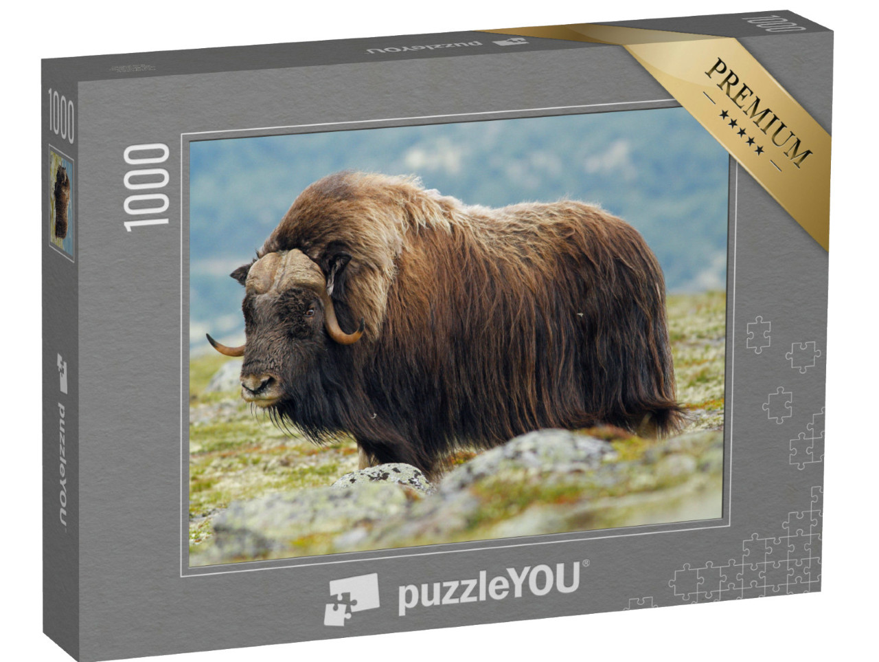 Puzzle 1000 Teile „Seitenansicht eines ausgewachsenen Moschusoxen“