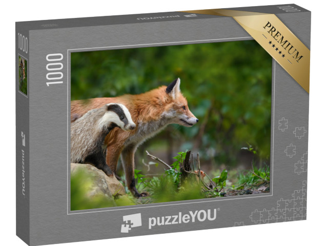 Puzzle 1000 Teile „Rotfuchs, Vulpes vulpes, und Dachs “