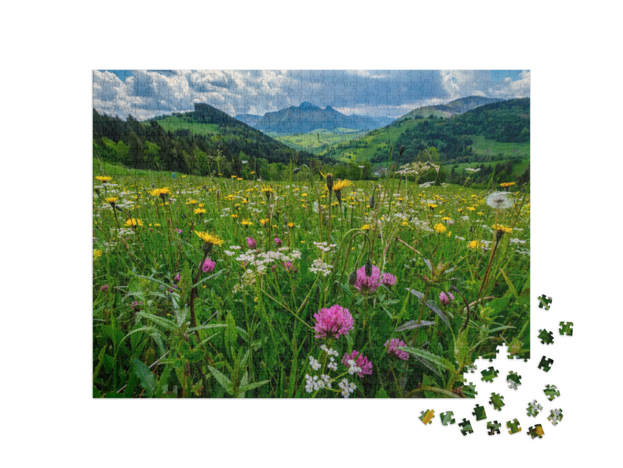 Puzzle 1000 Teile „Eine Wiese voller Bergblumen vor dem Hintergrund der Mala Fatra“