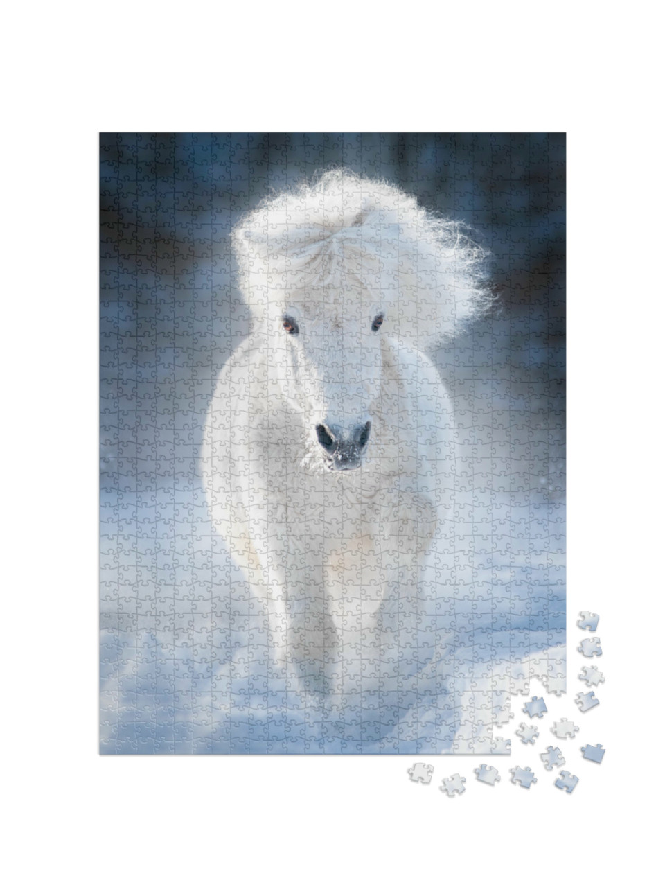 Puzzle 1000 Teile „Weißes flauschiges Shetlandpony im Galopp auf einer Winterwiese“
