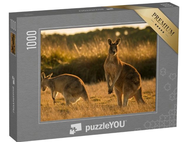 Puzzle 1000 Teile „Känguru bei Sonnenuntergang, offenes Feld“