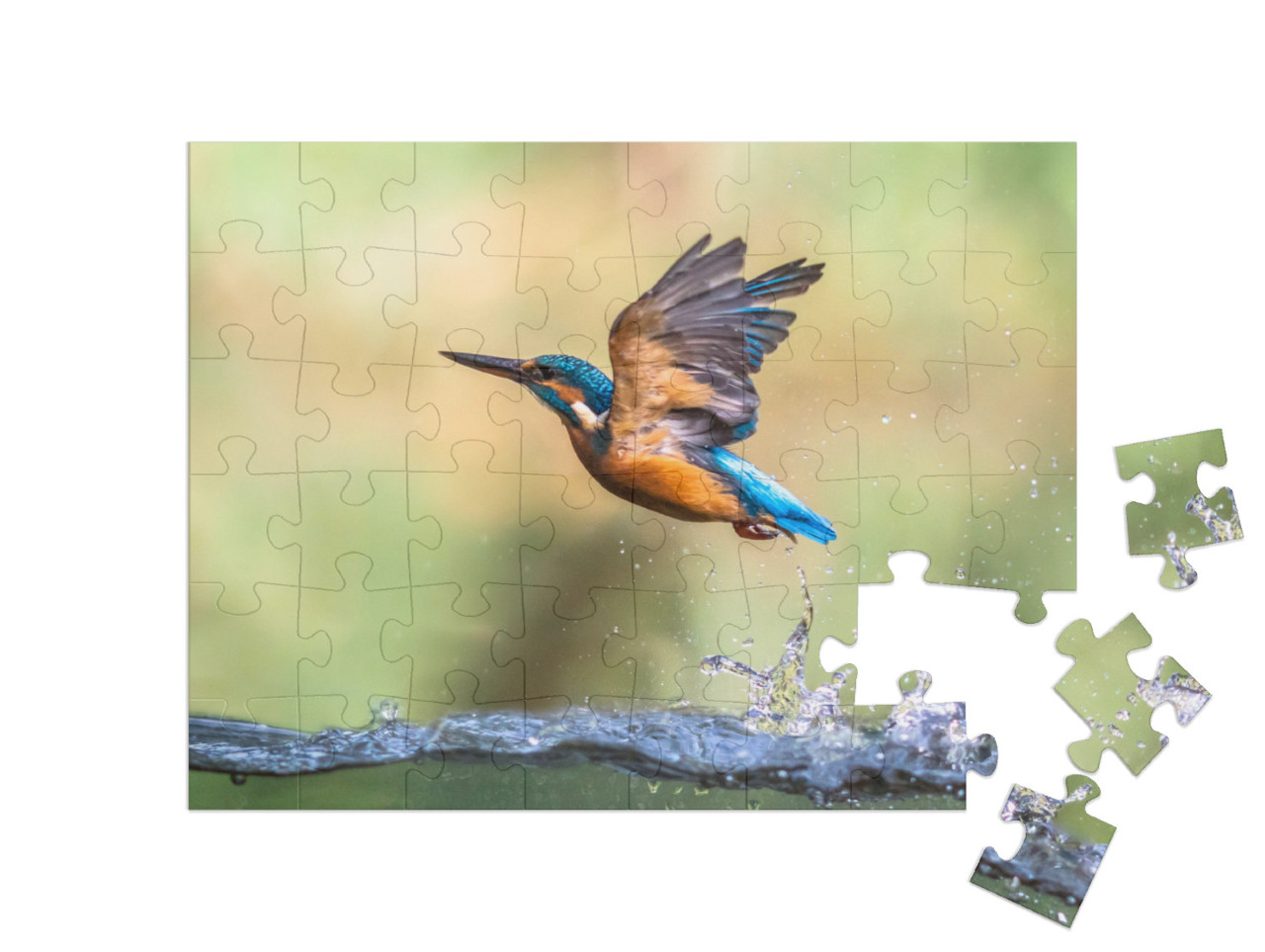 Puzzle 48 Teile „Eisvogel fliegt aus dem Wasser“