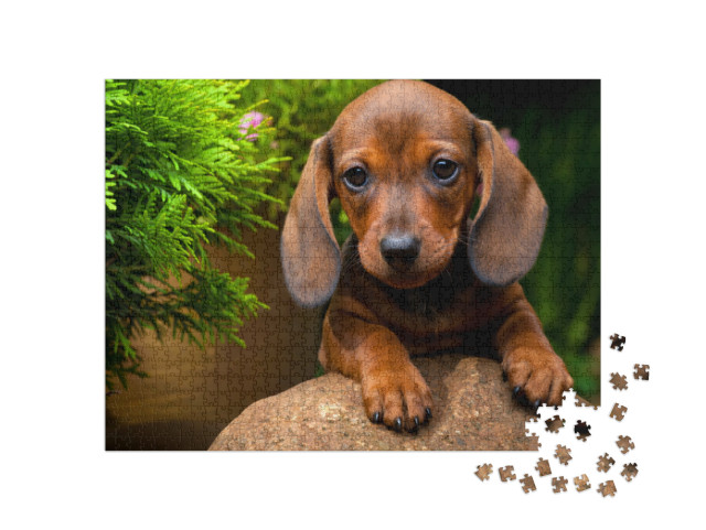 Puzzle 1000 Teile „Sommergarten mit Dackel“