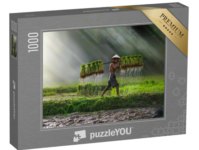Puzzle 1000 Teile „Reis wird gepflanzt: Landwirtschaft in Vietnam, Reisfeld“