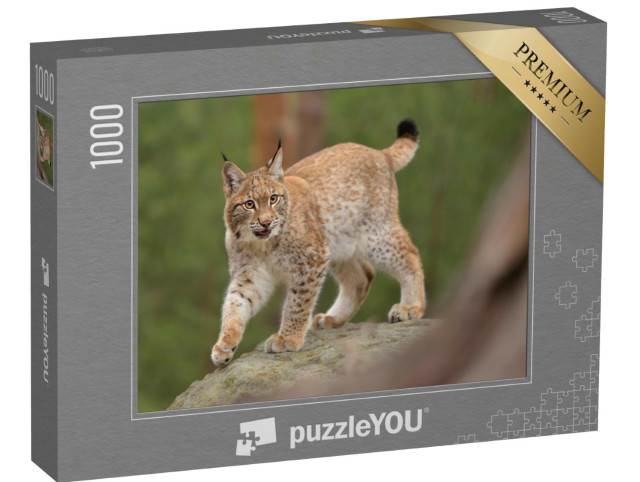 Puzzle 1000 Teile „Eurasischer Luchs in seine natürlichen Umgebung, Tschechische Republik“