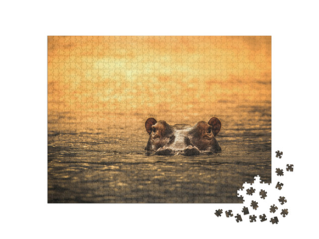 Puzzle 1000 Teile „Nilpferd im Sonnenuntergang, Selous-Wildreservat, Tansania“