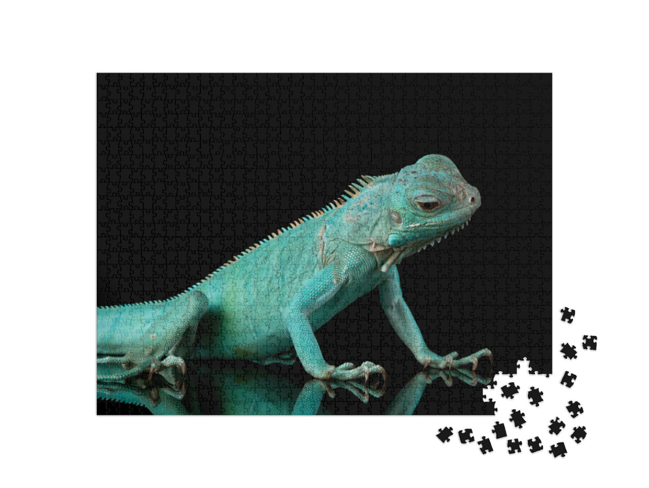 Puzzle 1000 Teile „Blauer Leguan “