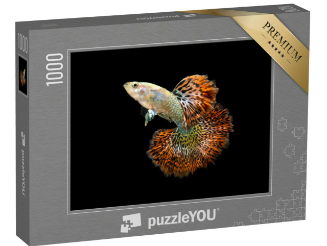 Puzzle 1000 Teile „Der Guppy Fisch“