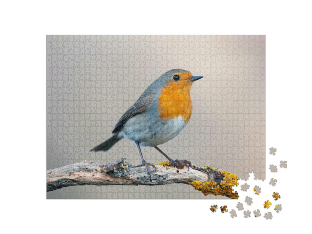 Puzzle 1000 Teile „Neugieriges Rotkehlchen“