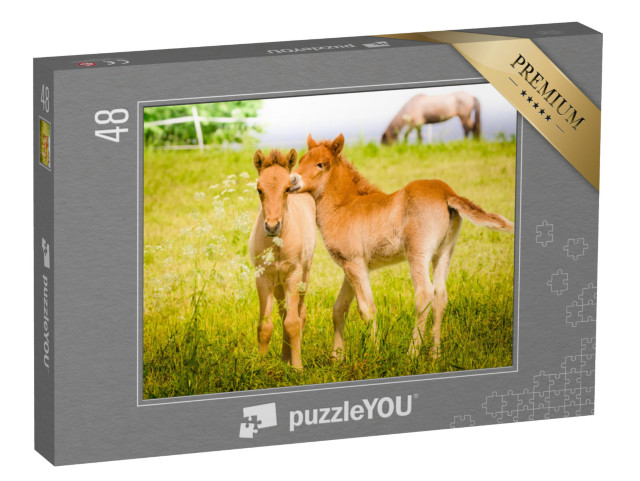 Puzzle 48 Teile „Spielende Fohlen auf der Wiese“