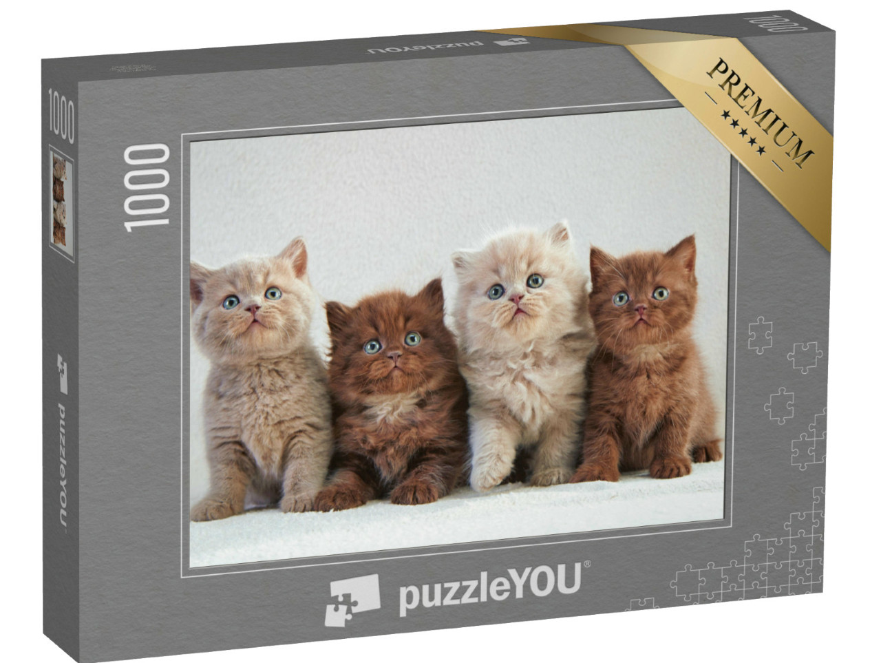 Puzzle 1000 Teile „Vier britische Kätzchen, bunte Farben“