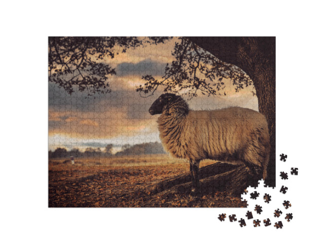 Puzzle 1000 Teile „Schaf mit schwarzem Kopf steht unter einem Baum “