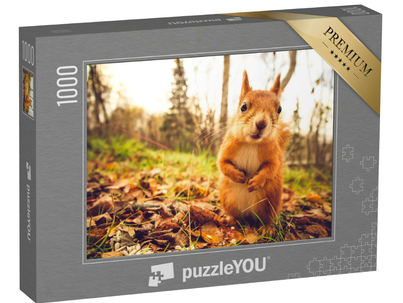 Puzzle 1000 Teile „Eichhörnchen “